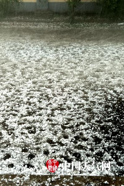 揭秘美名校招生舞弊案:花800萬進耶魯 這名學生這樣做的
