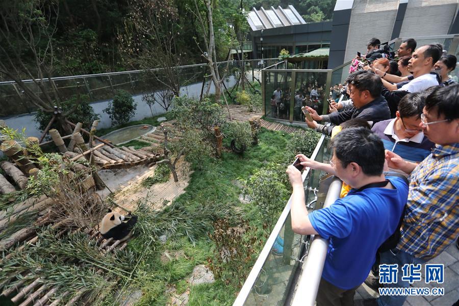 CBA第23周大事件：周琦去哪兒塵埃落定 鞏曉彬重返山東