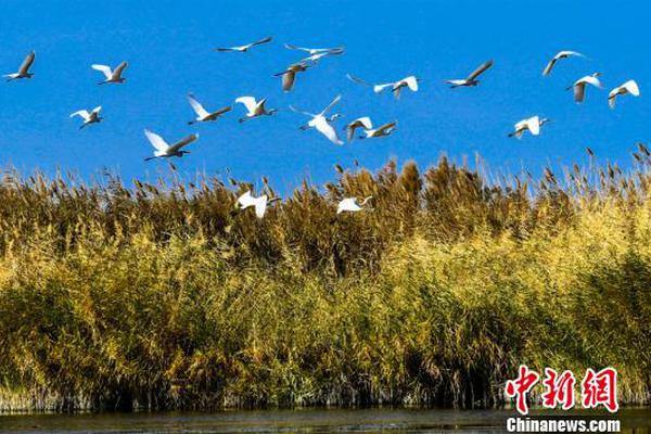 《娛樂(lè)早點(diǎn)爆》第207期 張軒睿Selina在一起了？