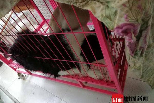 湖南張家界人大原副主任鄧大淵受審：涉受賄131萬