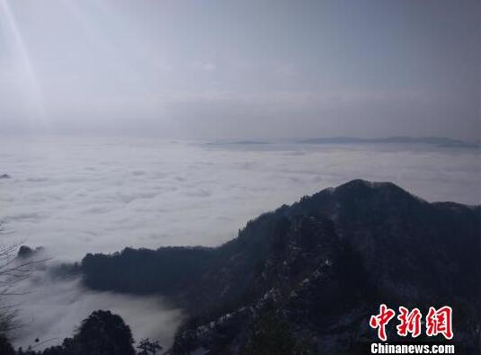 英雄聯(lián)盟IG和SKT大比拼，選手?jǐn)?shù)據(jù)深入對比，近日巔峰對決