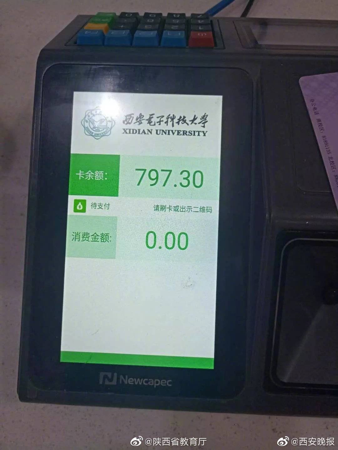 成都海關截獲價值上千萬瀕危魚魚鰾