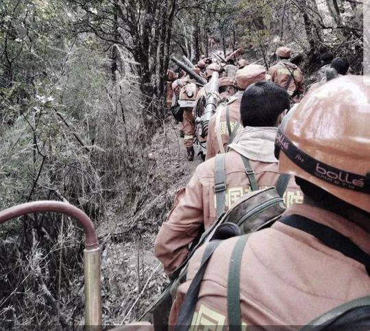 49歲陳浩民曬針頭戳眉照承認微整：不做很吃虧