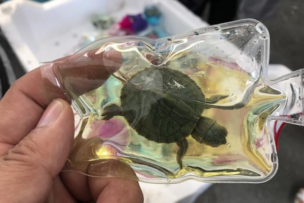 曼德拉獄中畫作《牢門》本周拍賣