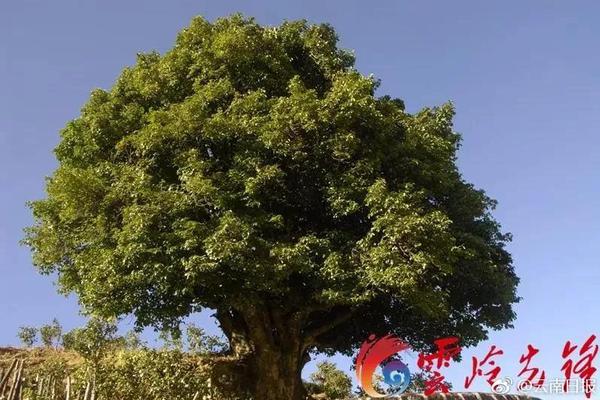 法海寺藏經(jīng)閣正式開放 立體重現(xiàn)明代壁畫