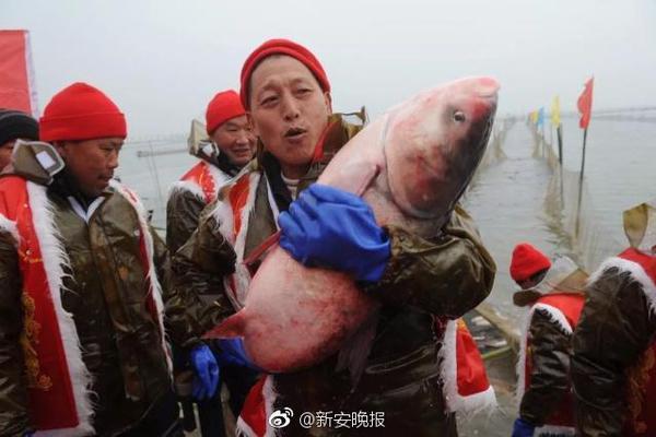 豪門齊聚BLAST系列賽馬德里站