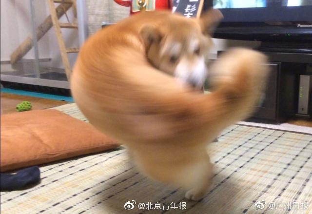 2900-2930點是搏反彈的區域