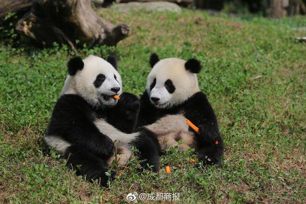 印度要造第二艘航母 但不久前唯一航母剛起火