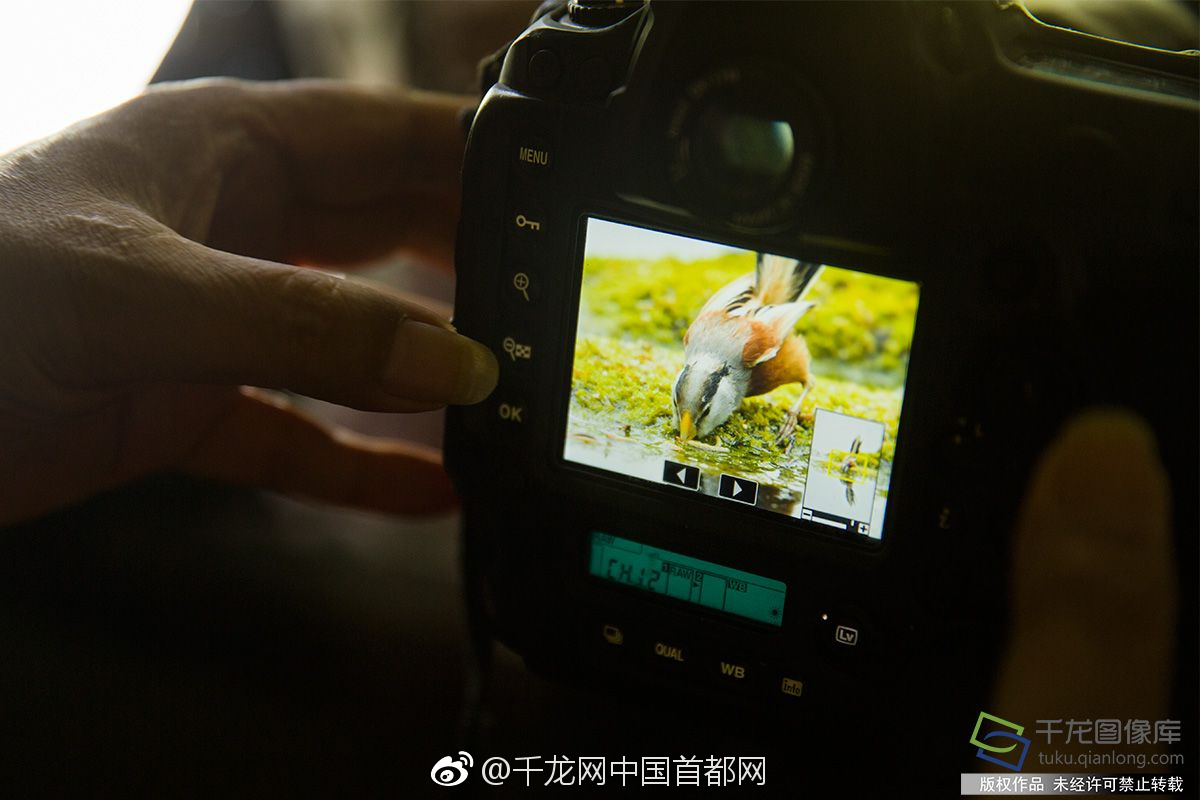 參與賭博、追求低級(jí)趣味 山東省政協(xié)原常委馬嘯被雙開
