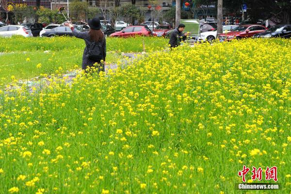人民幣中間價下調3點 報6.7310