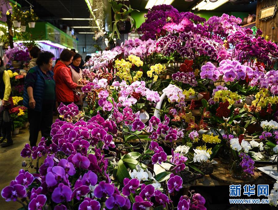 沒看懂英文信被罰巨款 海外華人收到信件不要忽視