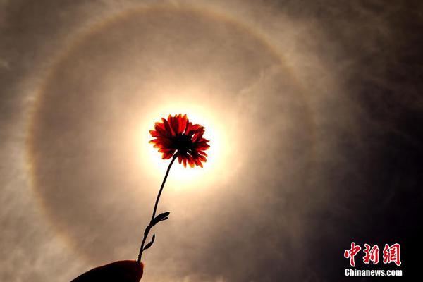 寧波華翔：一汽大眾和寧德都均是公司客戶