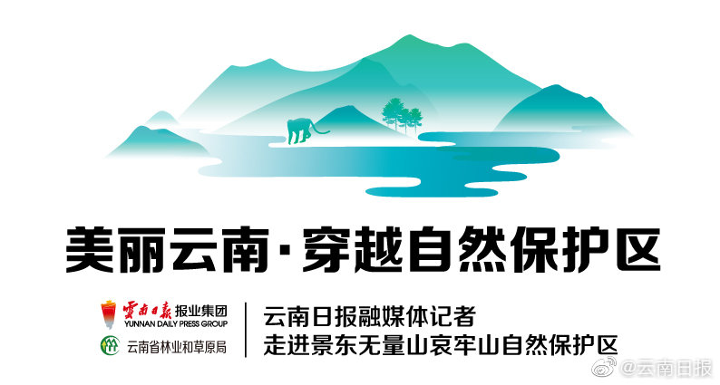 專家：國產芯片的發展要打造自己的生態體系