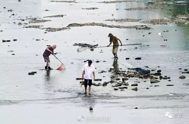 李彥宏夫婦或成“老賴”？若成真兩人麻煩就大了