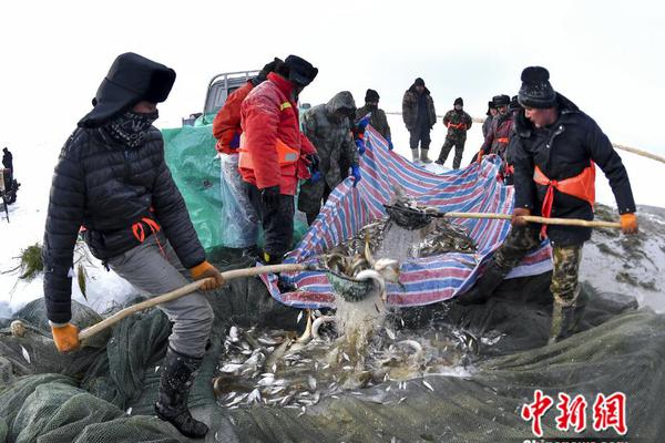 泄露公司源代碼致超百萬損失，大疆前員工被罰20萬并獲刑
