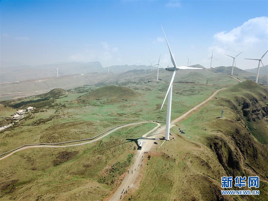 東北虎“智斗”無人機：預知“虎機大戰”結果，你得一直看到最后……