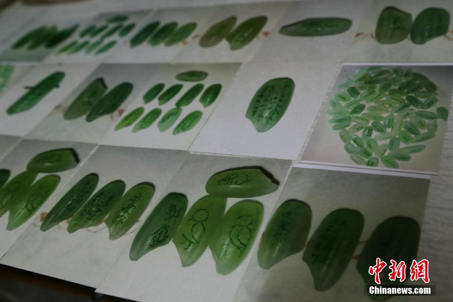 確認選2020？韓國瑜在挺韓大會一句透玄機