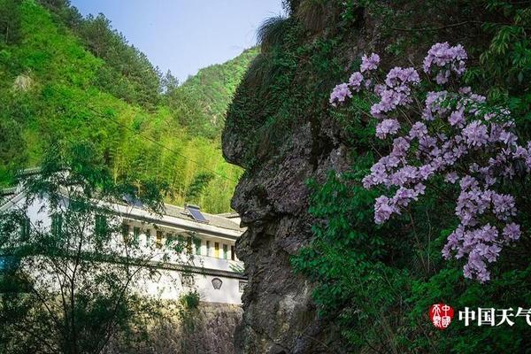 對賭的代價：馮小剛鄭愷需補償華誼近8800萬
