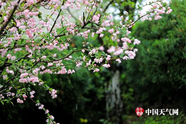 [西部半決賽]火箭100-104勇士
