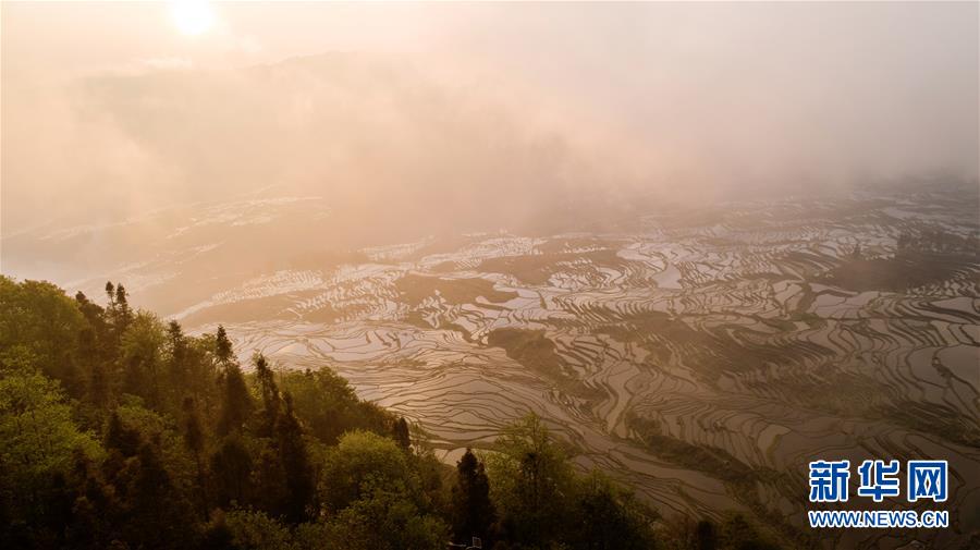 死黨移居國外買壕氣別墅 客廳可賞180°無敵美景