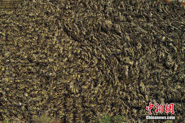 他才是真正的鋼鐵俠原型：41歲成世界首富，交往過164...