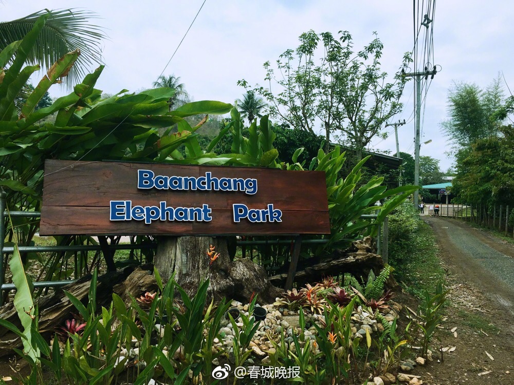 俄羅斯選出最美近衛軍女戰士