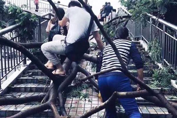 一中學女生遭同學毆打