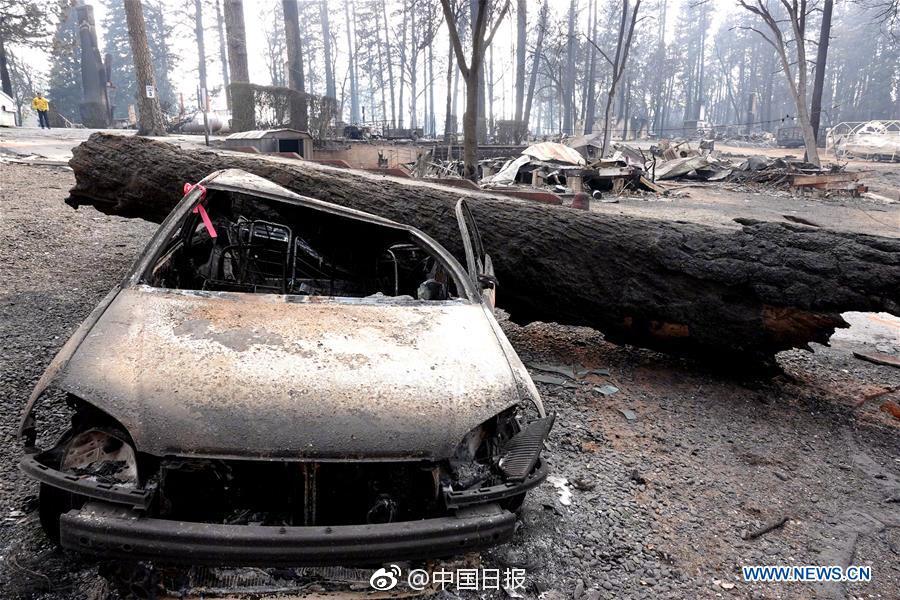 我進入火葬場成為一名職業燒尸人