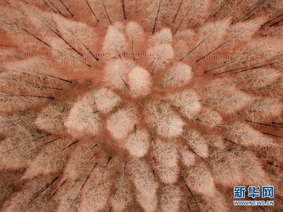 治愈系小假期過(guò)得不簡(jiǎn)單