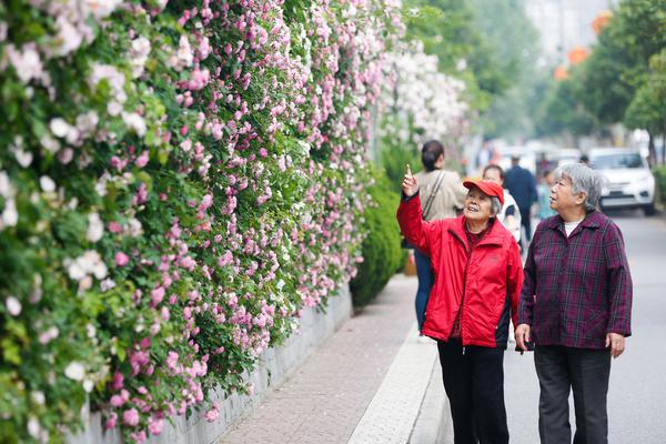 對賭的代價：馮小剛鄭愷需補償華誼兄弟近8800萬