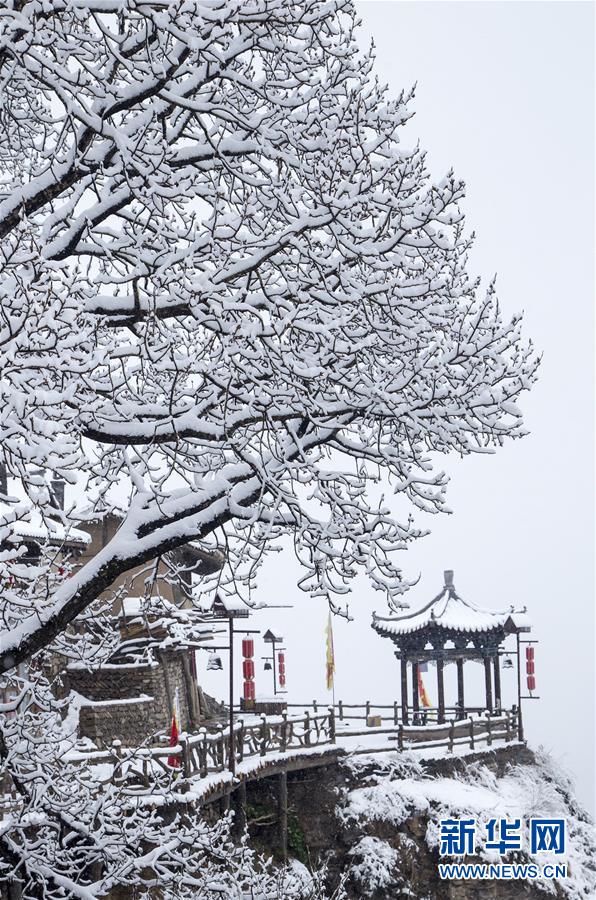 太仙了！蔡依林流“粉色眼淚”秀精致鎖骨