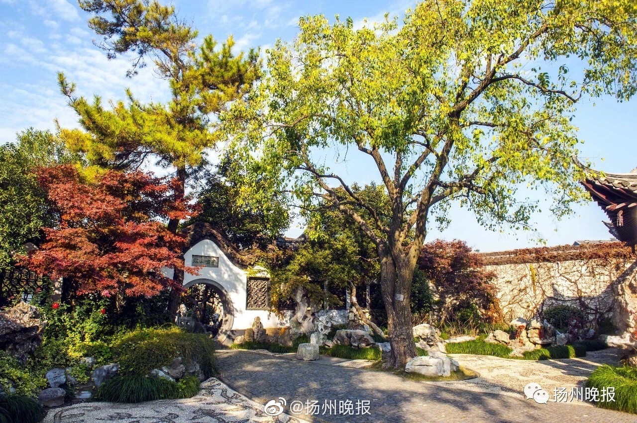 太仙了！蔡依林流“粉色眼淚”秀精致鎖骨