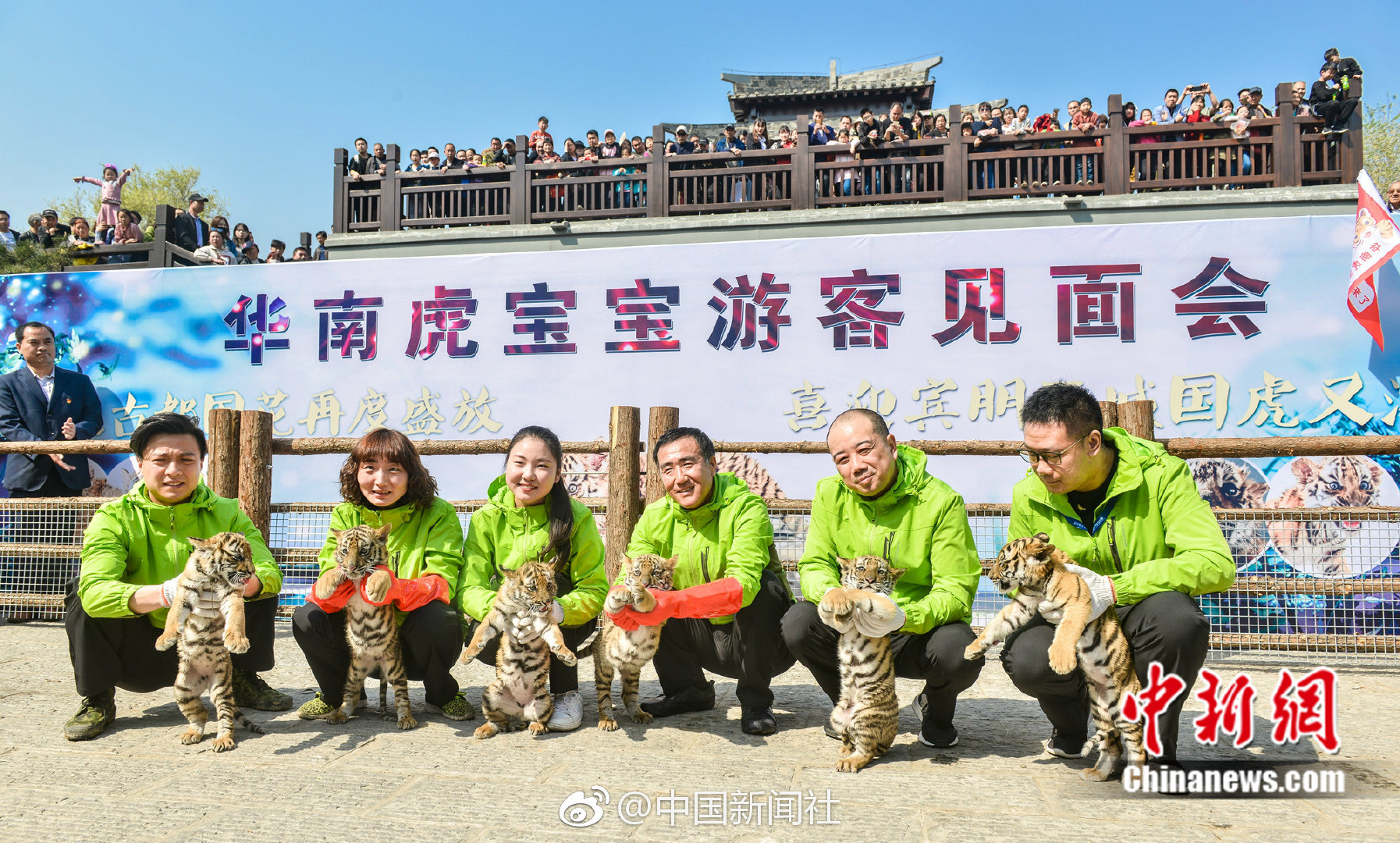 勇士怕的不是哈登是登哥