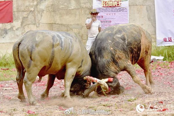 互聯(lián)網(wǎng)寒冬系列之齊家網(wǎng)：野蠻擴(kuò)張后遺癥