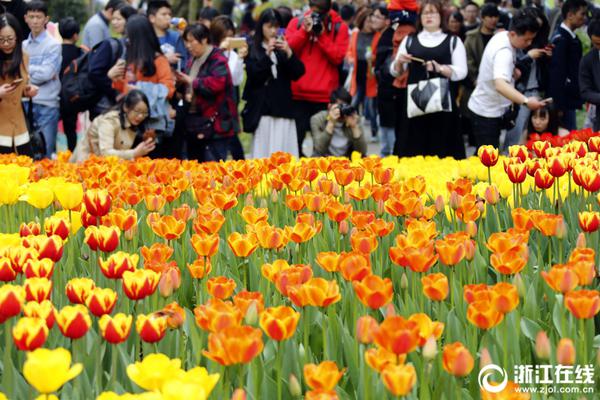 揭秘火勇大戰(zhàn)三位裁判 竟有兩人曾是勇士死對頭