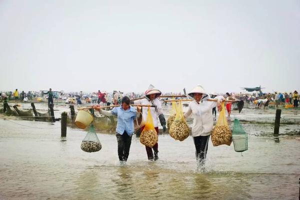 搜狗發布2019年Q1財報：收入超17億元，AI驅動業務發展新機遇