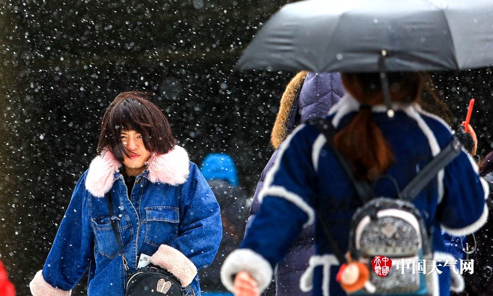 塞弗洛薩試水自由市場 前防守二陣球員恐難留爵士