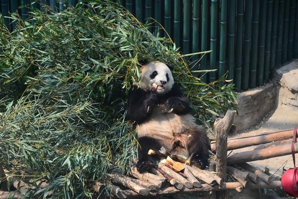 2900-2930點是搏反彈的區域