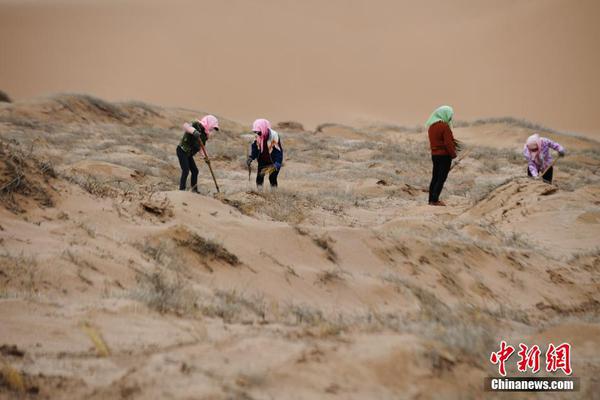 《巨匠》“匠情”版預告