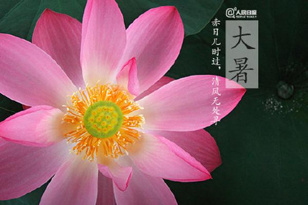 為孩子辭職在家 丈夫卻另結(jié)新歡