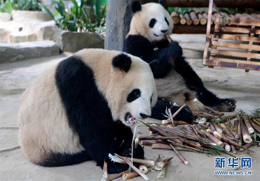 網易傳媒:打造內容消費升級新生態