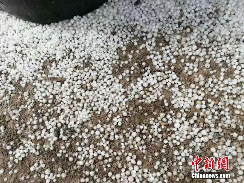 爹回來啦！爹回來啦！
