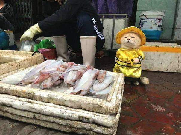 畫下夢境 乘著風去旅行