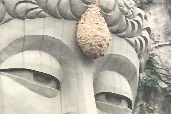 老樂：大反彈說來就來