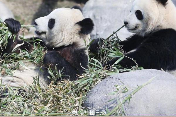 PUBG下半年大陸賽區(qū)電競賽事計劃