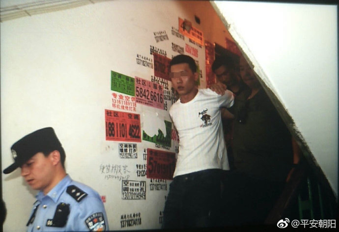 深度:波波維奇的神奇魔方