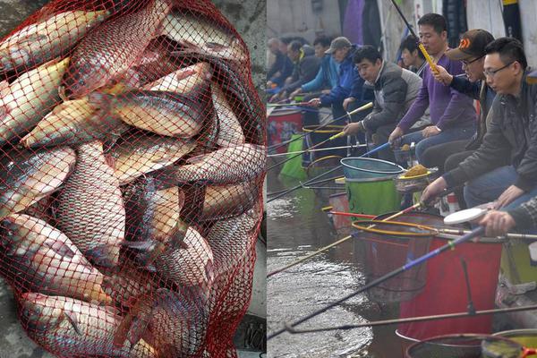 我們究竟需要什么樣的高考改革？