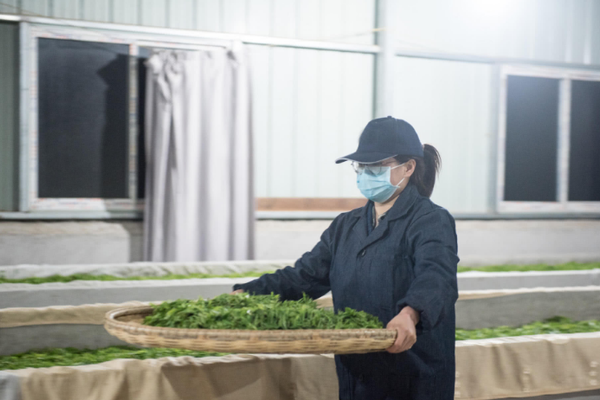配置比同級合資車好 起亞全新K3售11萬起?