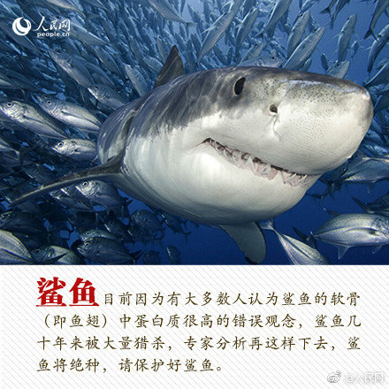 狐觀美國 | 超半數中等收入的老年人十年后付不起護理費用