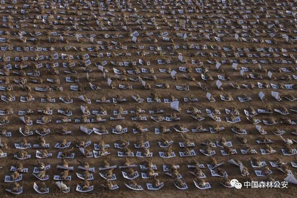 華誼兄弟凈利虧損12億 馮小剛需賠近7000萬補業績